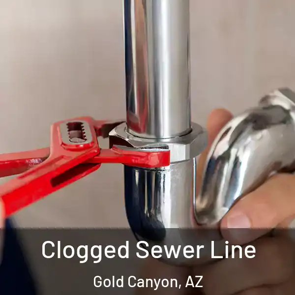  Clogged Sewer Line Gold Canyon, AZ