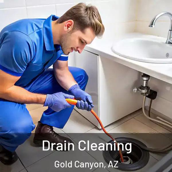  Drain Cleaning Gold Canyon, AZ