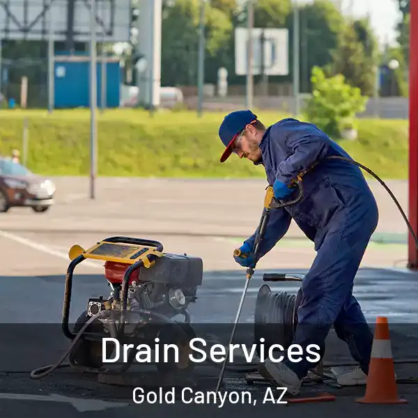  Drain Services Gold Canyon, AZ