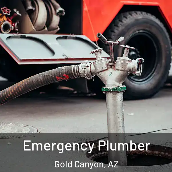  Emergency Plumber Gold Canyon, AZ