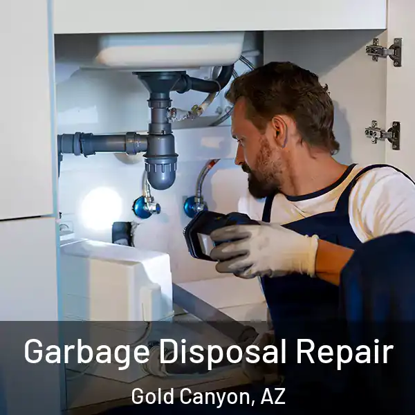  Garbage Disposal Repair Gold Canyon, AZ