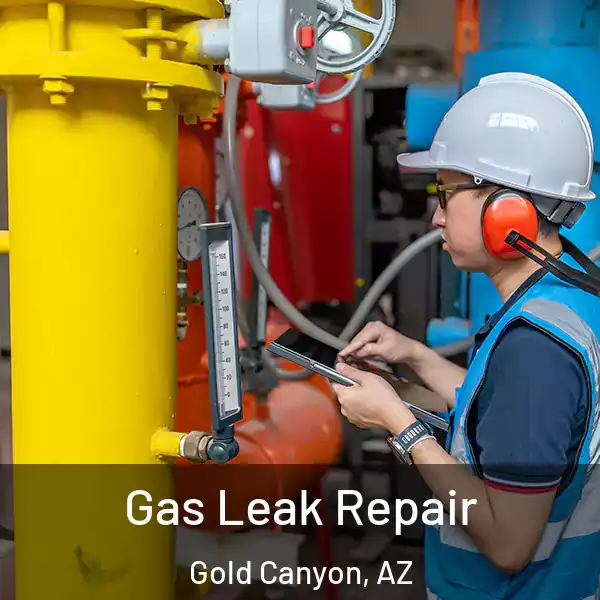  Gas Leak Repair Gold Canyon, AZ