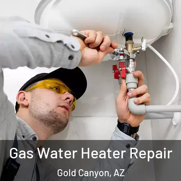  Gas Water Heater Repair Gold Canyon, AZ