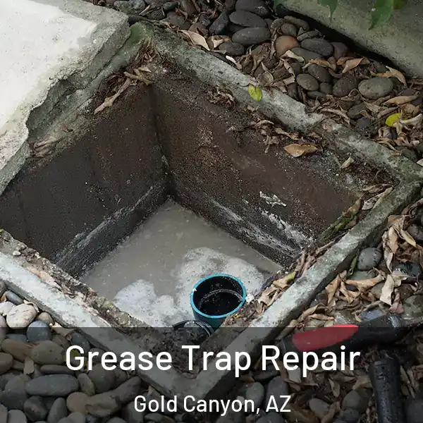  Grease Trap Repair Gold Canyon, AZ
