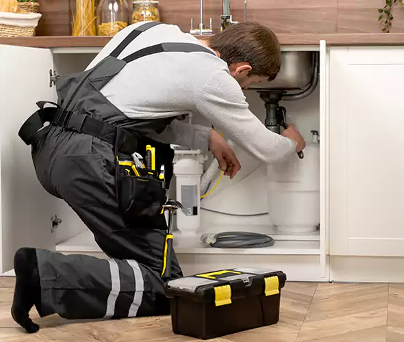 Certified Plumbers for Insinkerator Installation in Gold Canyon