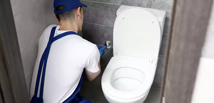 Toilet Lid Replacement in Gold Canyon