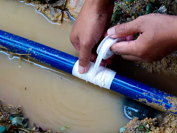  Why Choose Gold Canyon Plumber for Leak Detection in Gold Canyon, AZ?]