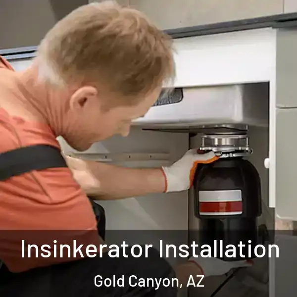  Insinkerator Installation Gold Canyon, AZ