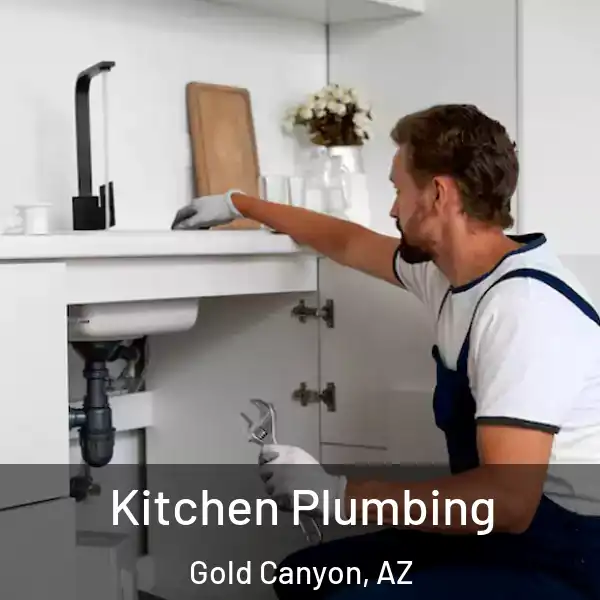  Kitchen Plumbing Gold Canyon, AZ