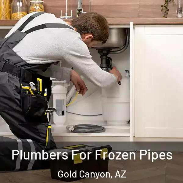  Plumbers For Frozen Pipes Gold Canyon, AZ