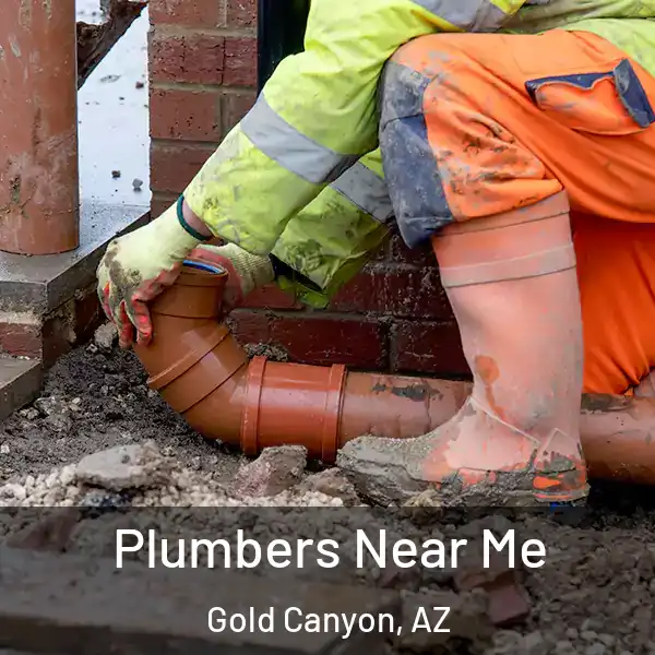  Plumbers Near Me Gold Canyon, AZ