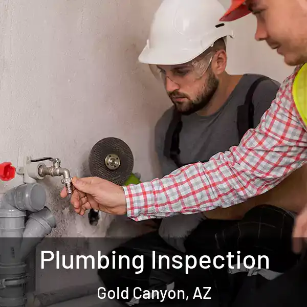  Plumbing Inspection Gold Canyon, AZ