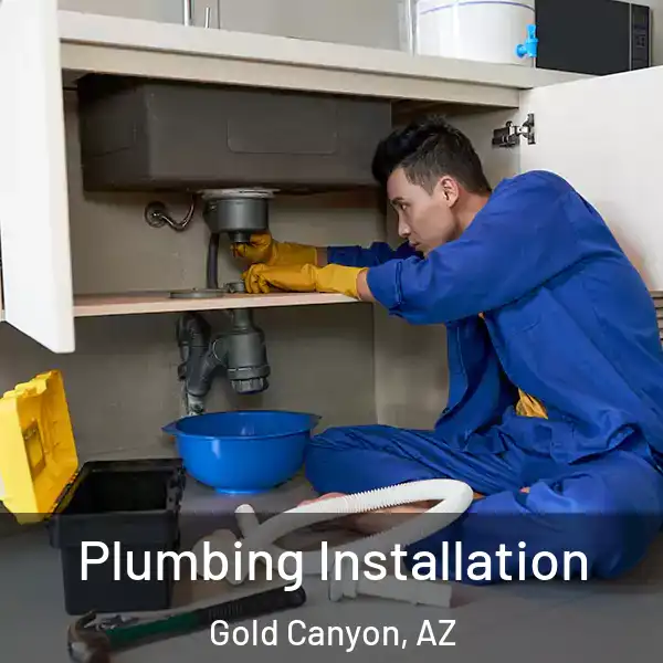  Plumbing Installation Gold Canyon, AZ