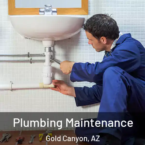  Plumbing Maintenance Gold Canyon, AZ