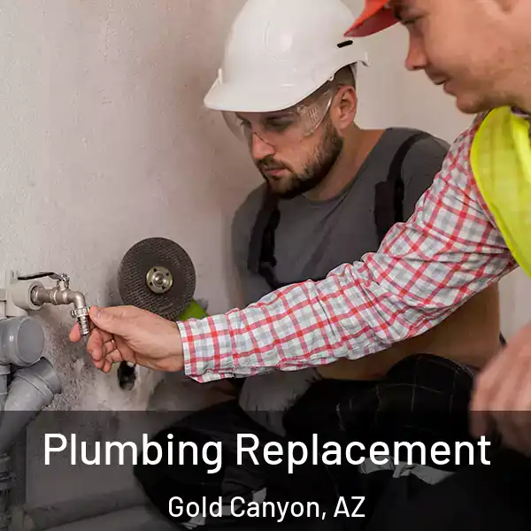  Plumbing Replacement Gold Canyon, AZ
