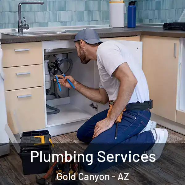  Plumbing Services Gold Canyon - AZ