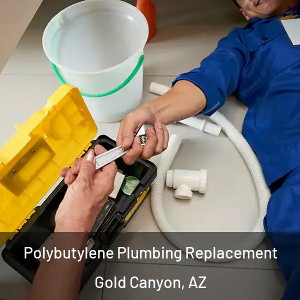  Polybutylene Plumbing Replacement Gold Canyon, AZ