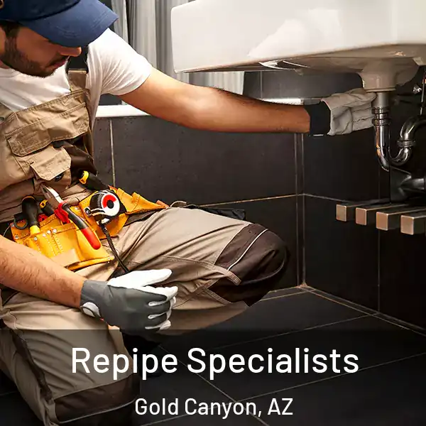  Repipe Specialists Gold Canyon, AZ