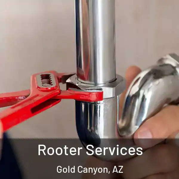  Rooter Services Gold Canyon, AZ