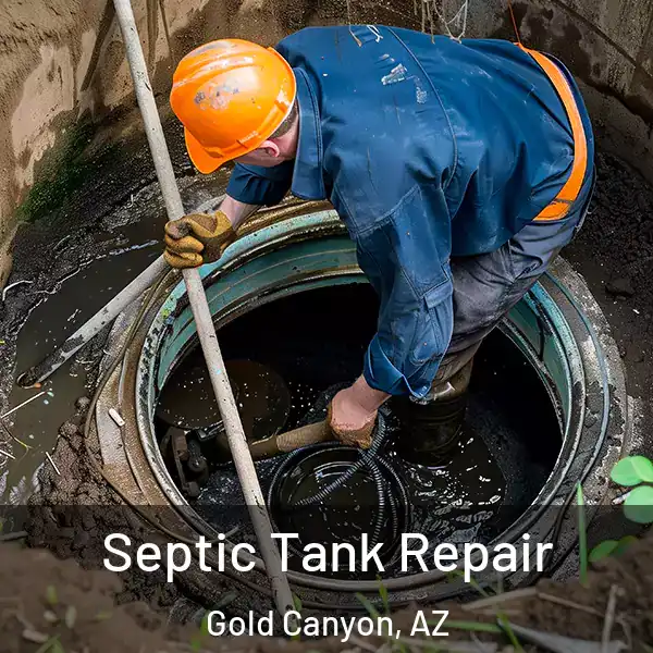  Septic Tank Repair Gold Canyon, AZ