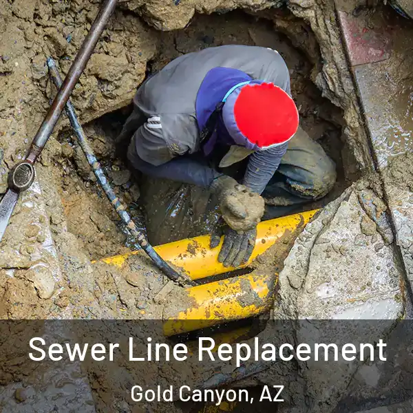 Sewer Line Replacement Gold Canyon, AZ