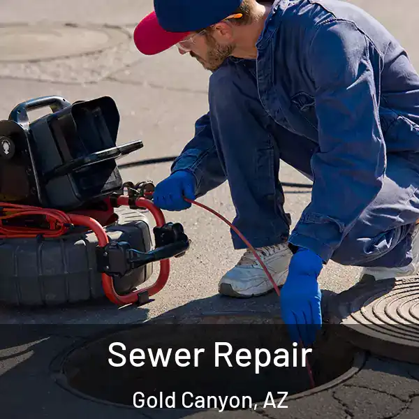 Sewer Repair Gold Canyon, AZ
