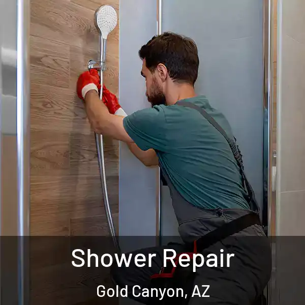  Shower Repair Gold Canyon, AZ