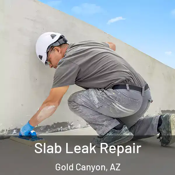  Slab Leak Repair Gold Canyon, AZ