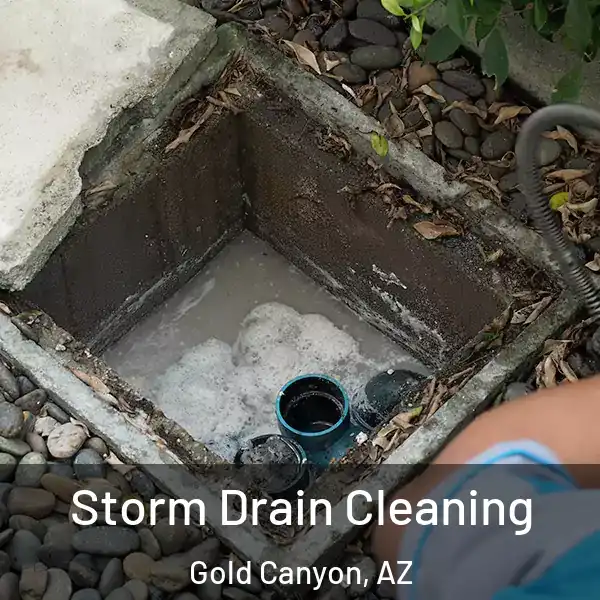  Storm Drain Cleaning Gold Canyon, AZ