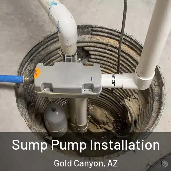  Sump Pump Installation Gold Canyon, AZ