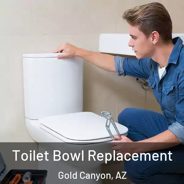  Toilet Bowl Replacement Gold Canyon, AZ