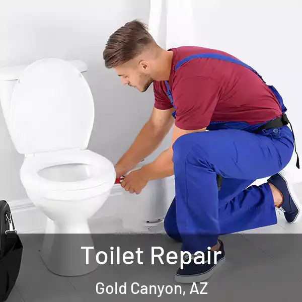  Toilet Repair Gold Canyon, AZ