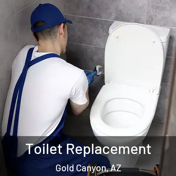  Toilet Replacement Gold Canyon, AZ