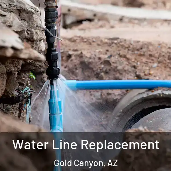  Water Line Replacement Gold Canyon, AZ